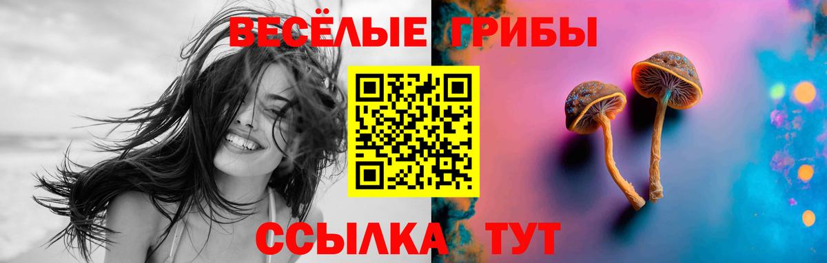Псилоцибиновые грибы мухоморы  Вход с VPN  Гагарин  Галлюциногенные грибы MAGIC MUSHROOMS 